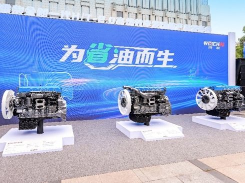 Ӳ˴ɽ|ع2025ϰݿj2898|