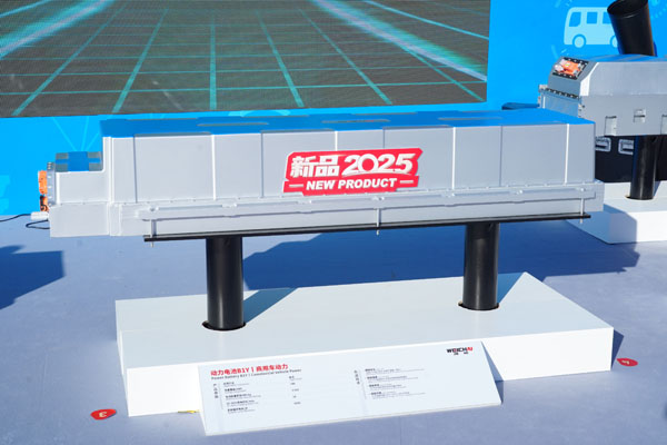 3.輕卡動(dòng)力電池 (2).JPG