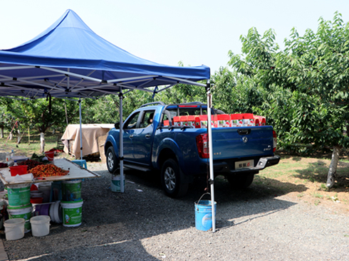 游記:油耗7.3L 純平貨箱 果園老板夸我會買車